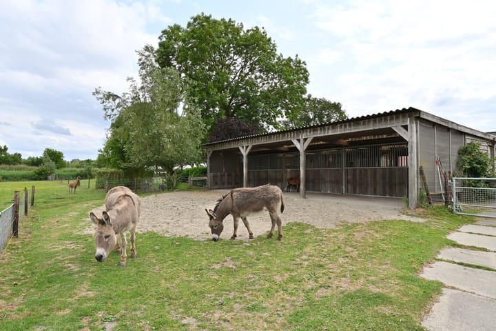 Foto 4 van Moerstraatseweg 150