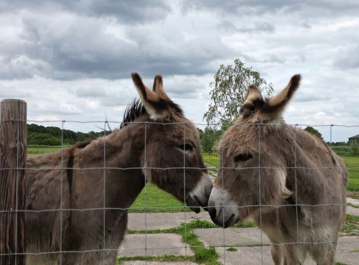 Foto 59 van Moerstraatseweg 150