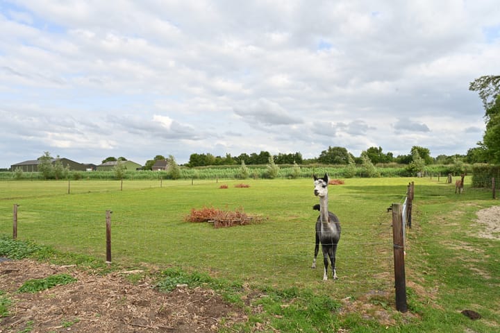 Foto 61 van Moerstraatseweg 150
