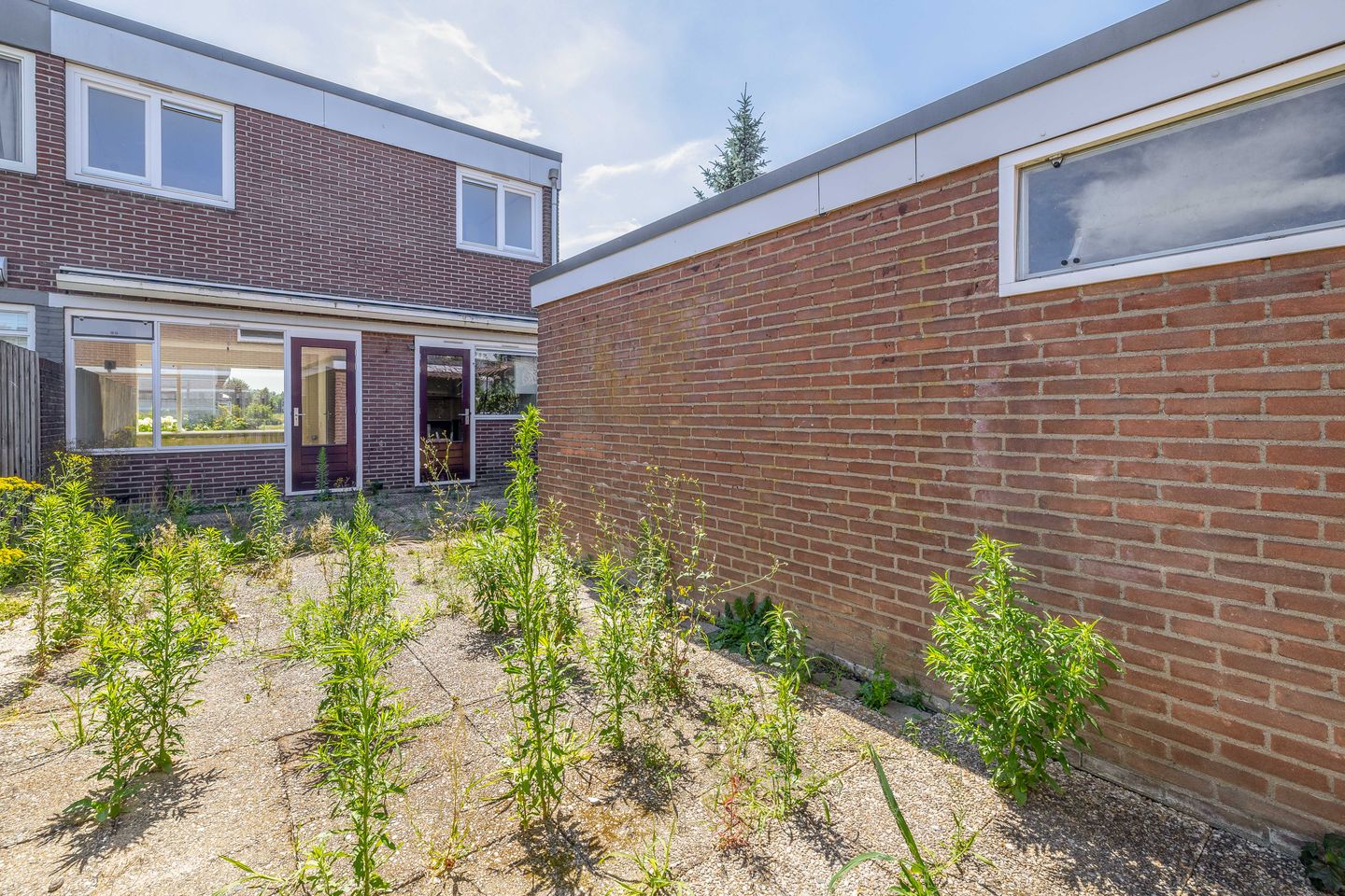 Foto 20 van Goeman Borgesiusstraat 106