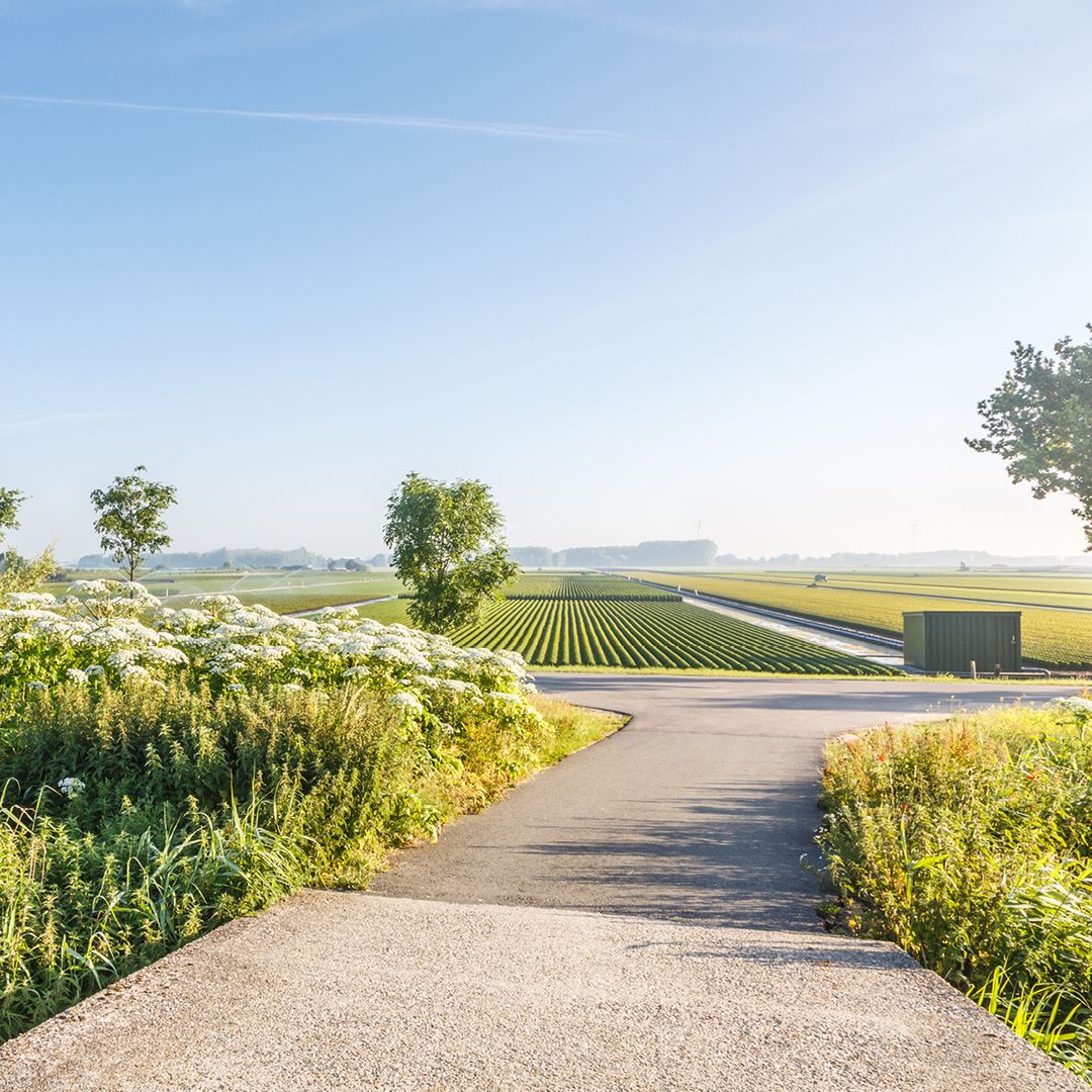 Foto 16 van Hoekwoning Kwekerij (Bouwnr. 13)