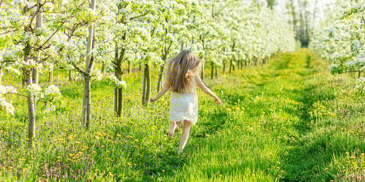 Foto 17 van Tussenwoning Kwekerij (Bouwnr. 3)