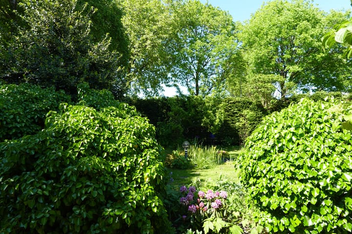 Foto 65 van Vossenkoog 2