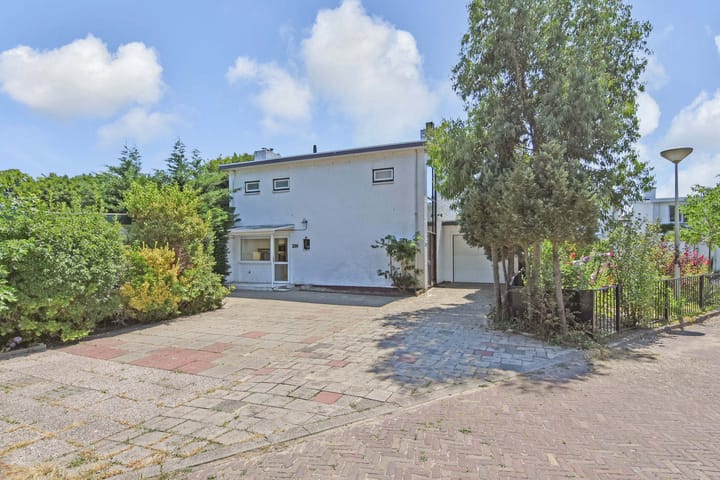 Foto 41 van Loevesteinlaan 200