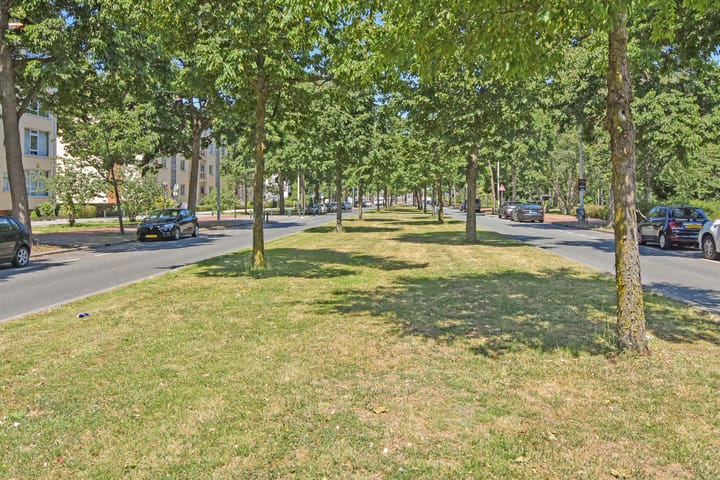 Foto 43 van Loevesteinlaan 200