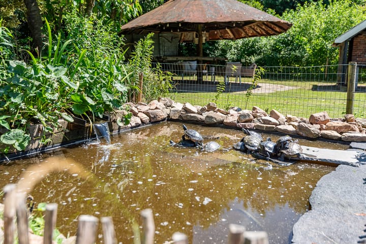 Foto 54 van Smitskamplaan 16