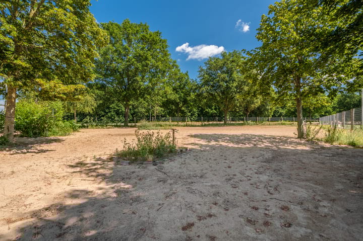 Foto 21 van Beumeesweg 16