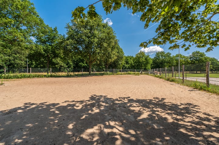 Foto 23 van Beumeesweg 16