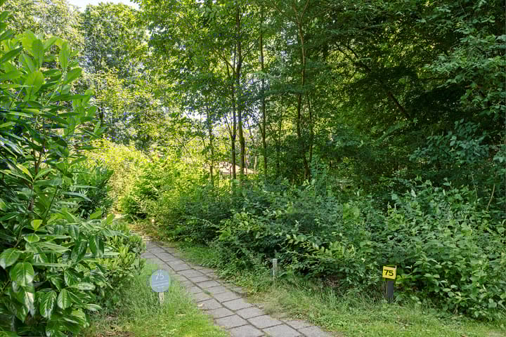 Foto 48 van Valtherweg 36-075