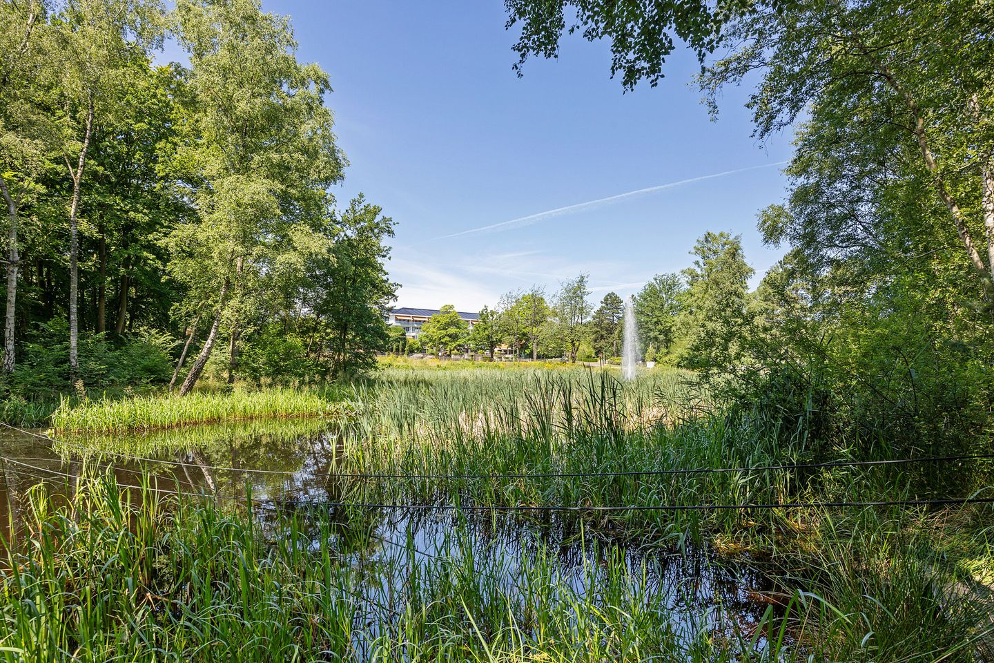 Photo 50 of Valtherweg 36-075