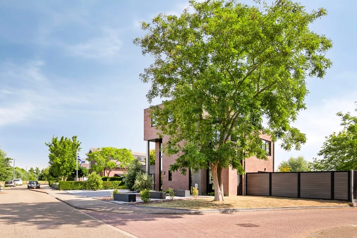 Foto 5 van Wildbaan 2