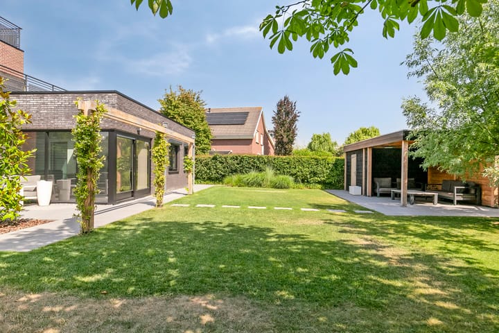 Foto 60 van Wildbaan 2