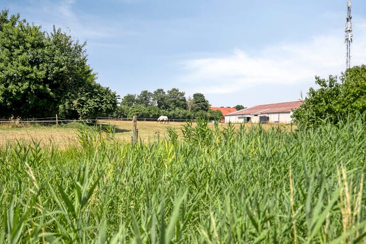 Foto 64 van Wildbaan 2