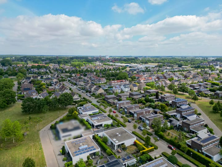 Foto 46 van Paardenbloem 7