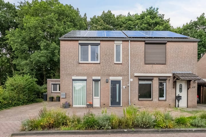 Foto 38 van Hermelijnsingel 33