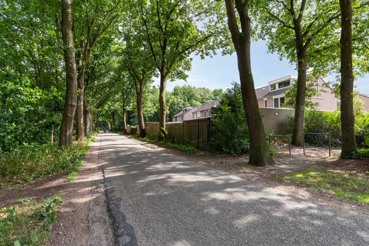 Foto 40 van Hermelijnsingel 33