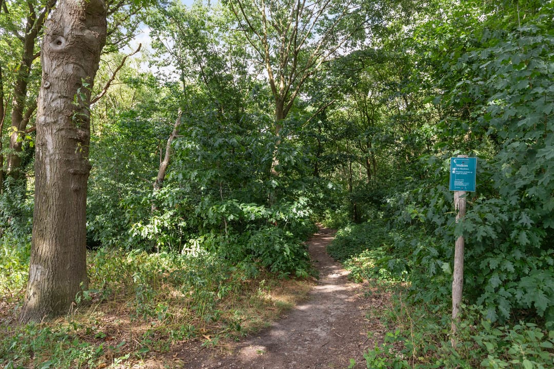 Foto 41 van Hermelijnsingel 33