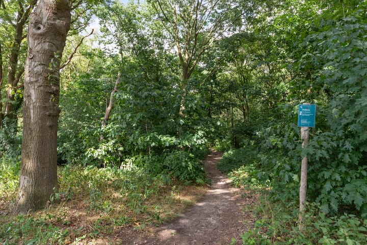 Foto 41 van Hermelijnsingel 33