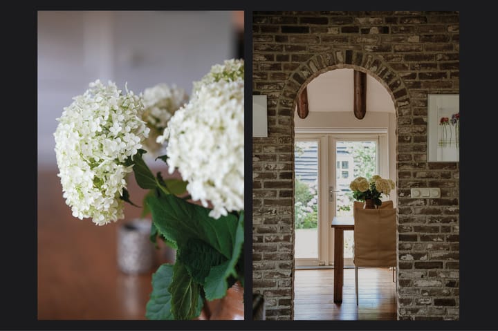 Foto 12 van Aaldert 12-A