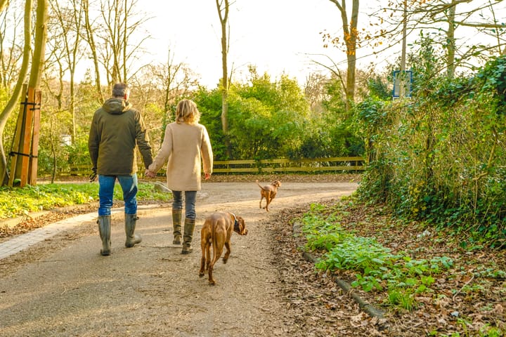 Foto 47 van Bontiuslaan 9