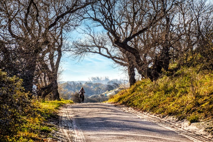 Foto 49 van Bontiuslaan 9