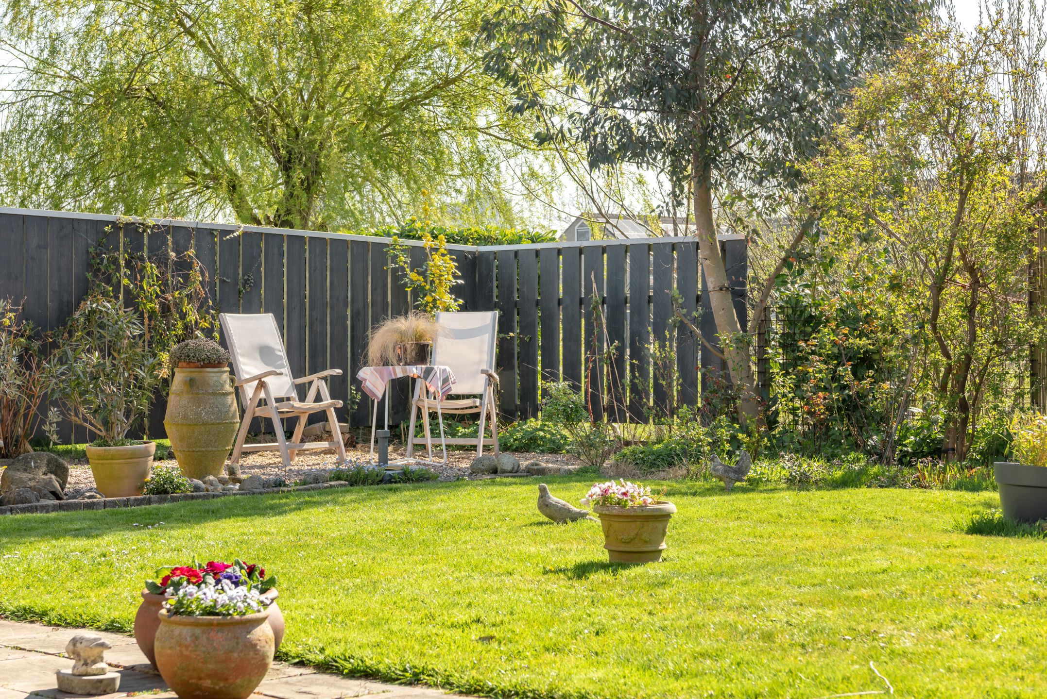 Foto 48 van Baalder 23