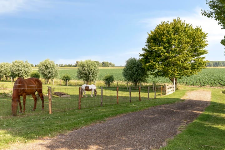 Foto 65 van Slikslee 17