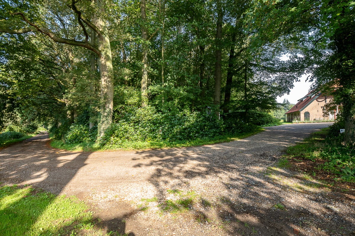 Photo 39 of Nieuwe Grensweg 13