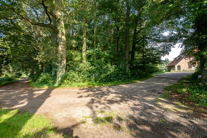 Foto 39 van Nieuwe Grensweg 13