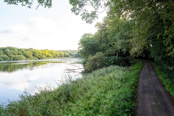 Foto 40 van Nieuwe Grensweg 13