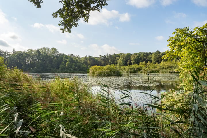 Foto 42 van Nieuwe Grensweg 13