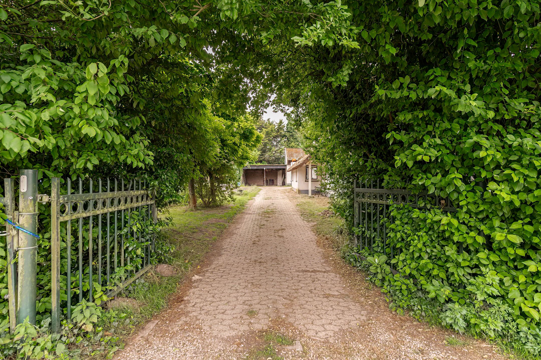 Foto 3 van Dorpsstraat 7