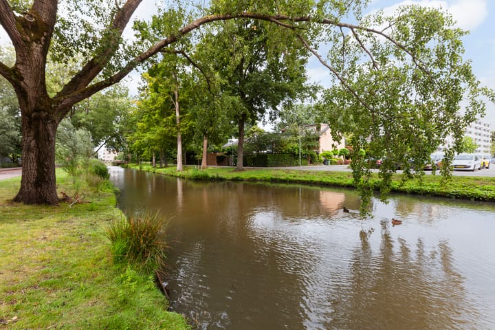 Foto 31 van Van der Helmstraat 394