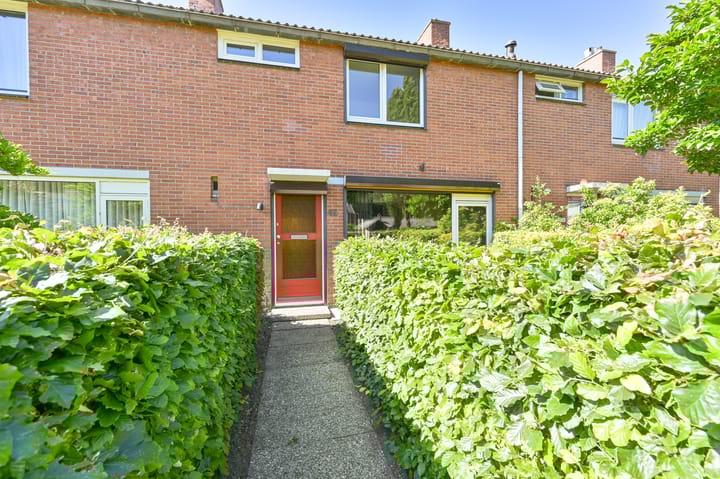 Foto 6 van Duindoorn 49