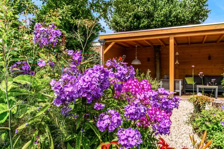 Foto 22 van Lijsterlaan 3