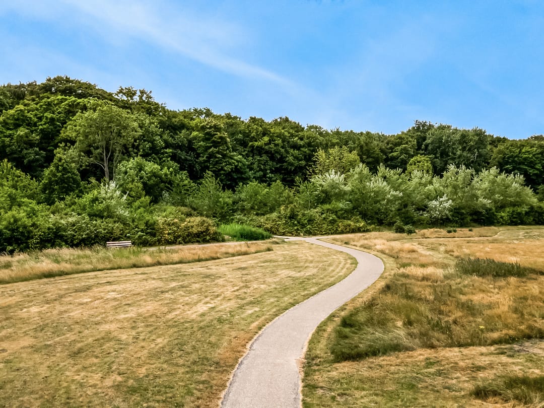 Foto 47 van Lijsterlaan 3