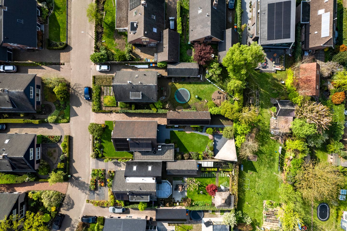 Photo 4 of het Cruse 12