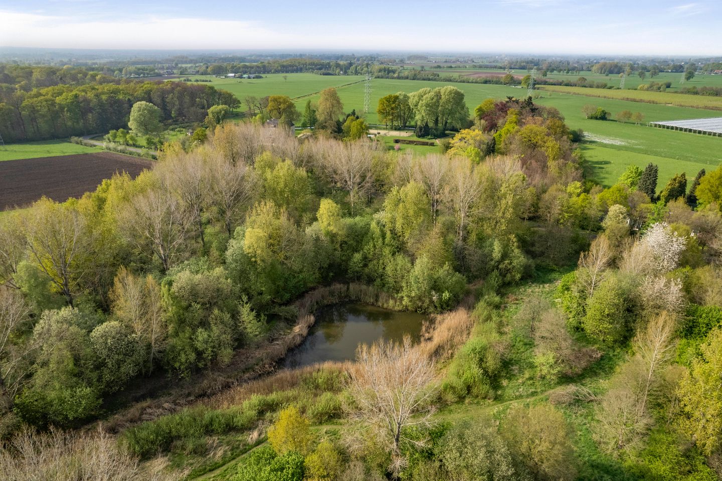 Photo 5 of het Cruse 12