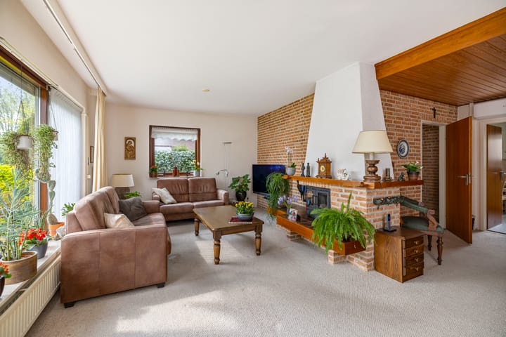 Foto 9 van het Cruse 12