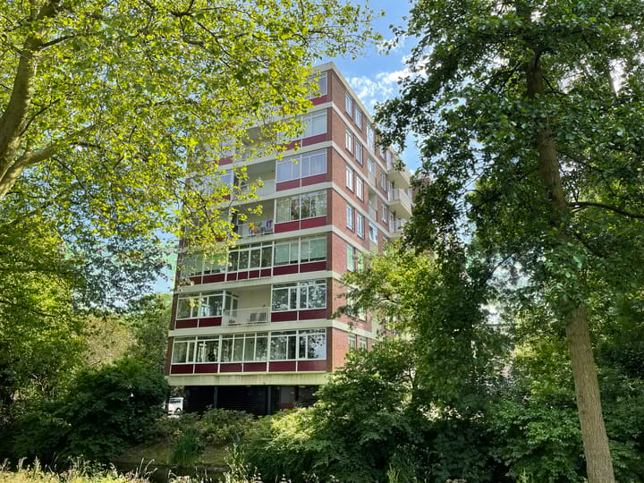 Foto 4 van Kornalijnhorst 384