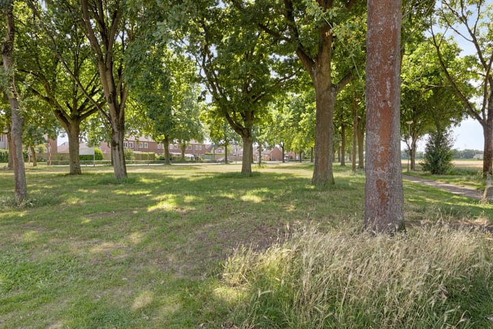 Foto 26 van Maasbrachterweg 10