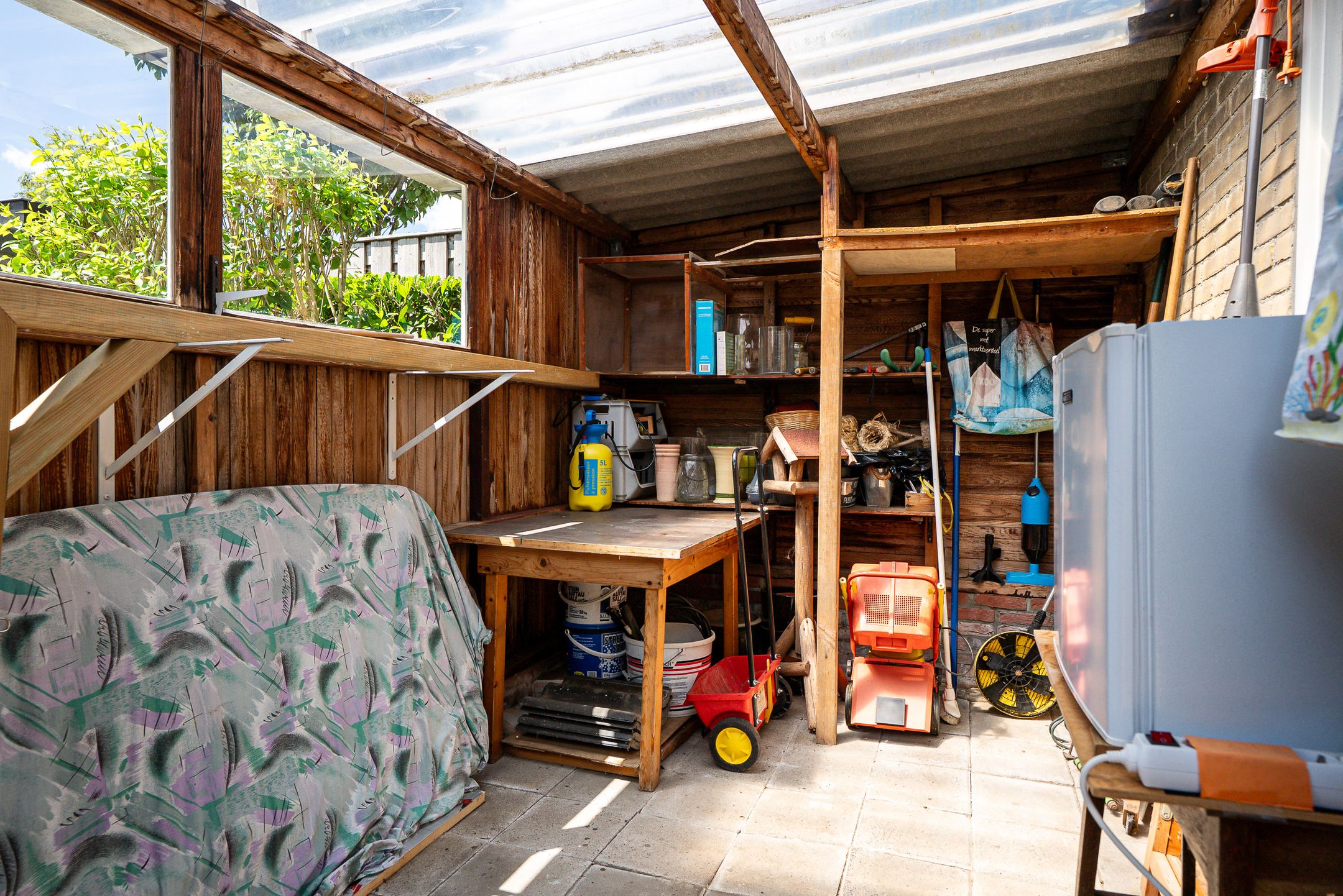 Foto 15 van Orxmasingel 15