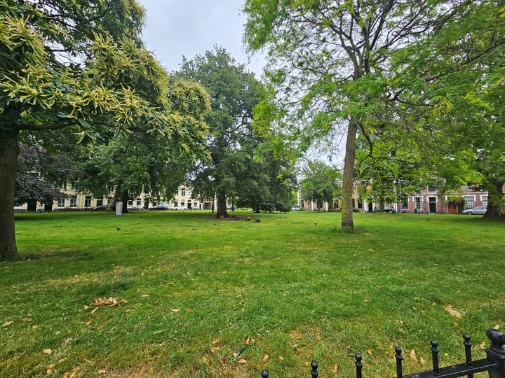 Foto 21 van Ripperdapark 9