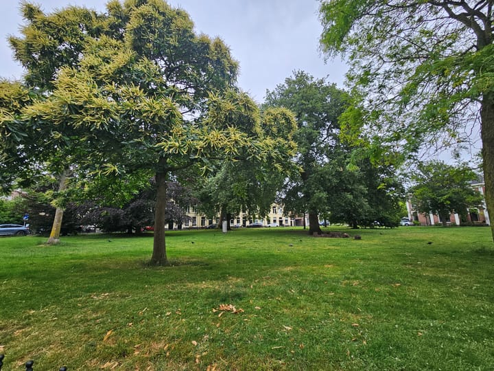 Foto 22 van Ripperdapark 9