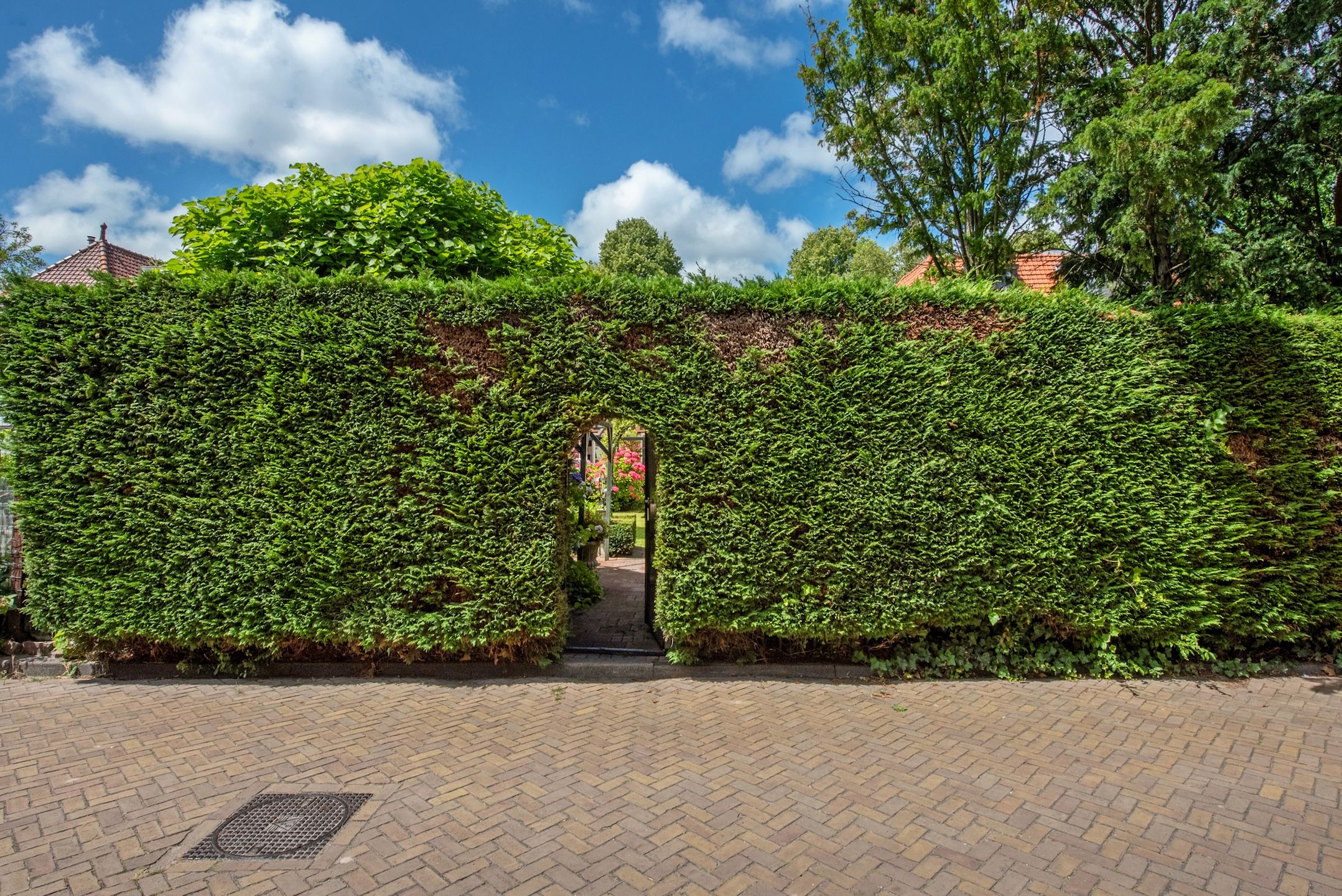 Photo 6 of Prinses Mariannelaan 19