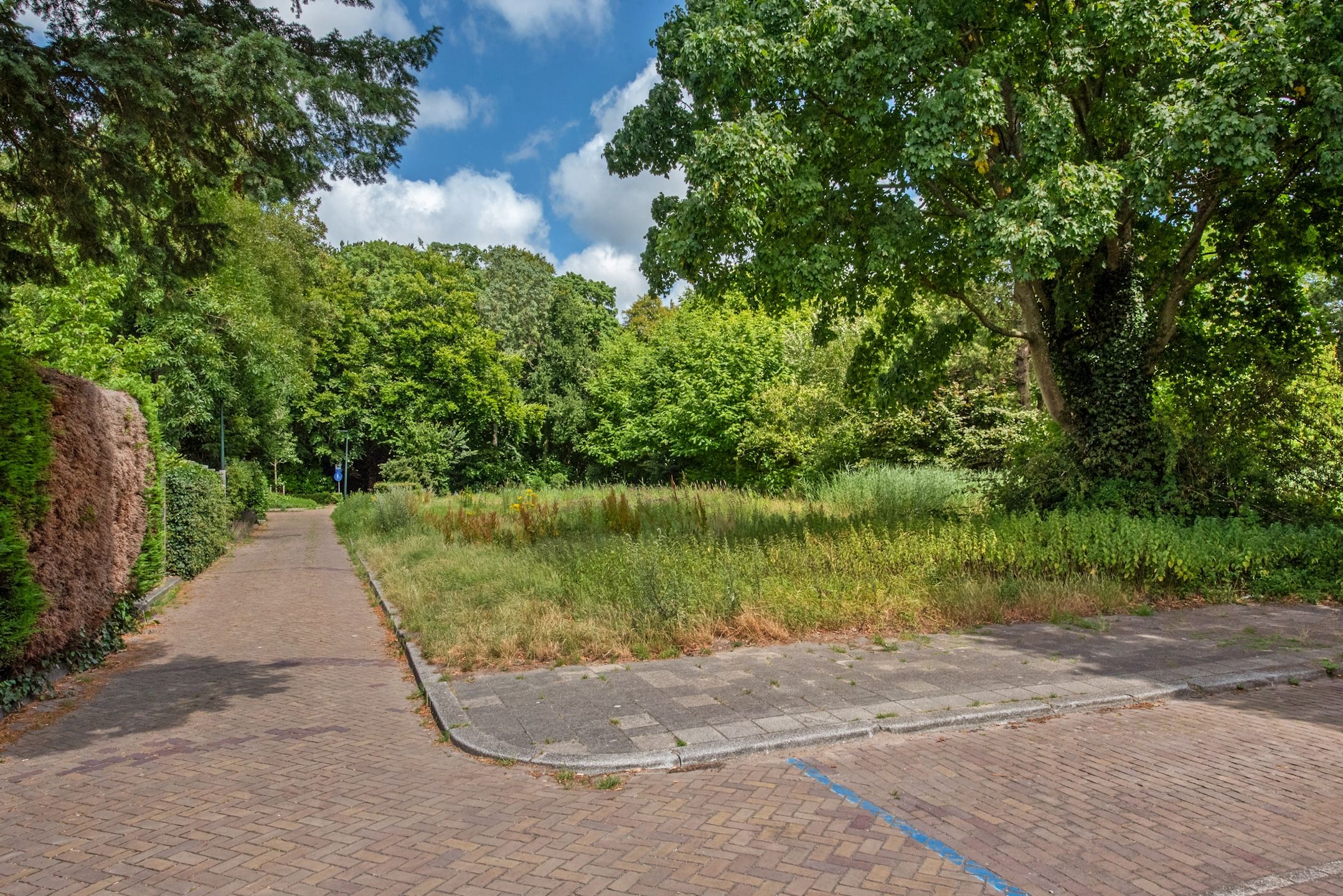 Photo 42 of Prinses Mariannelaan 19