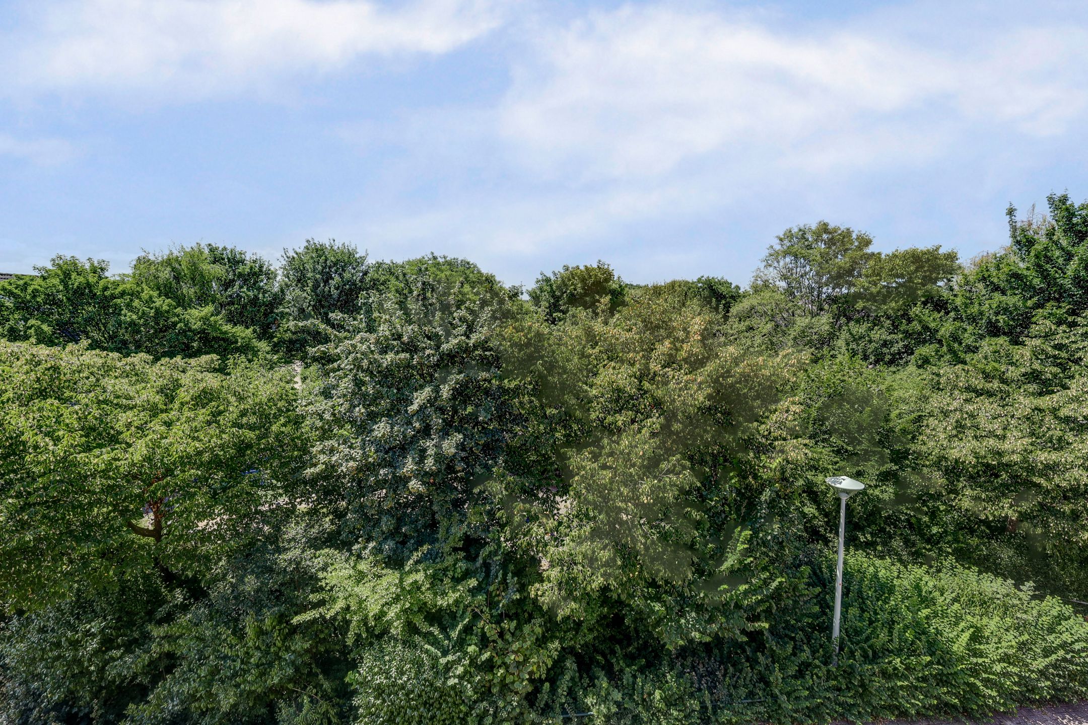 Foto 27 van Tollenspark 21