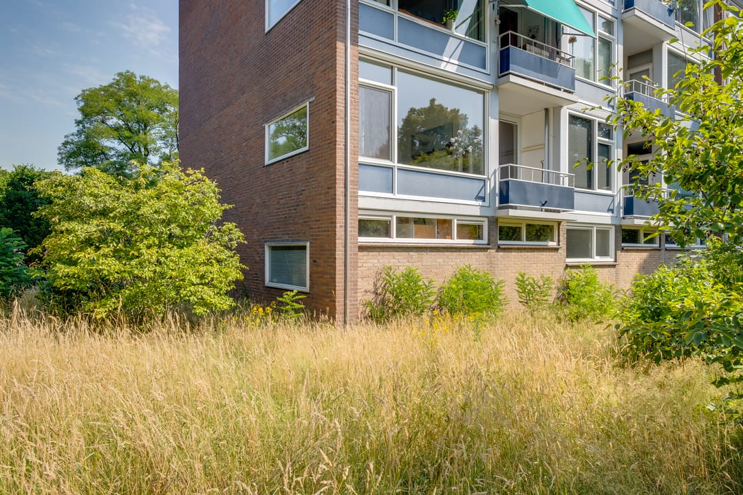 Foto 2 van Mezenlaan 67