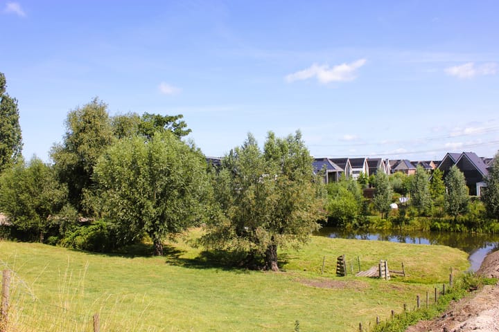 Photo 11 of Matena 6