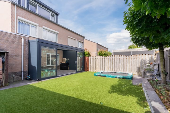 Foto 7 van Buizerd 124